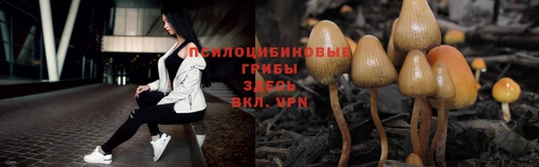 прущие крисы Балахна