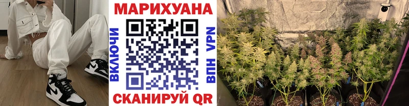 Купить  Нерюнгри  Канабис планчик 